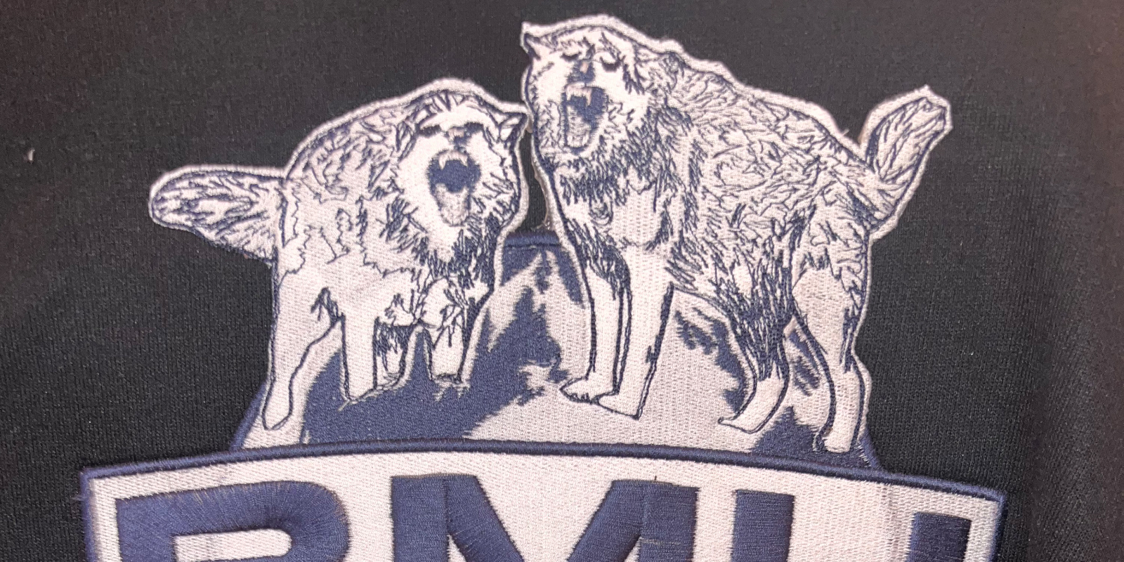 Digitized embroidery design on hoodies for BMU Carriers LLC, a Baltimore business
